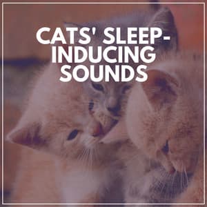 Cats' Sleep-inducing Sounds - Cat Music Therapy