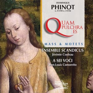 Dominique Phinot : Messe quam pulchra es & Motets - Dominique Phinot