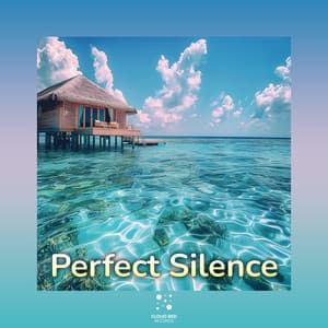 Perfect Silence - Catching the Moment