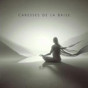 Caresses de la Brise: Relaxation Profonde et Rêve Éveillé - Oasis de sommeil