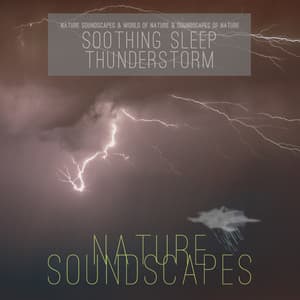 Soothing Sleep Thunderstorm - Nature Soundscapes