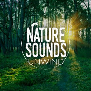 Nature Sounds: Unwind - Sleep Sounds of Nature & Natural Sounds