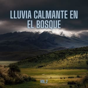 Lluvia Calmante En El Bosque, Vol. 2 - Sonidos de lluvia y tormentas fuertes