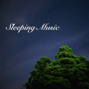 Sleeping Music - Sleeping Music