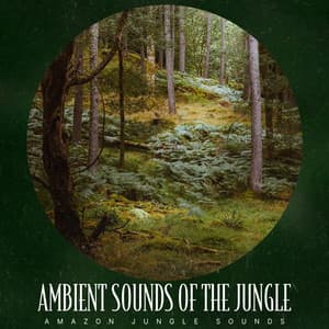 Ambient Sounds of the Jungle - Amazon Jungle Sounds