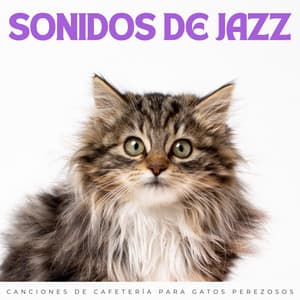Sonidos De Jazz: Canciones De Cafetería Para Gatos Perezosos - Salón Bossa Deluxe