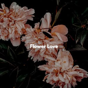 Flower Love - Coffee Shop Jazz Piano Chilling