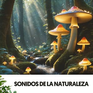 Sonidos de la Naturaleza: Melodías del Bosque Encantado - Cat Music Therapy