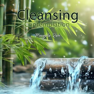 Cleansing Contemplation: Bamboo Water Fountain & Buddha's Healing Music for Inner Serenity, and Energetic Cleansing - Maryada Ram