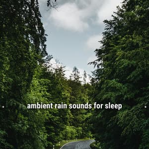 * ambient rain sounds for sleep * - Ambient Rain