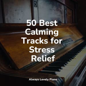50 Piano Songs for Calming Anxiety Relief and Complete Relaxation - Peaceful Piano Chillout