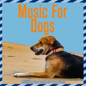 Music For Dogs: Ambient Dog Sleep Sounds for Sweet Dreams - Dog Music