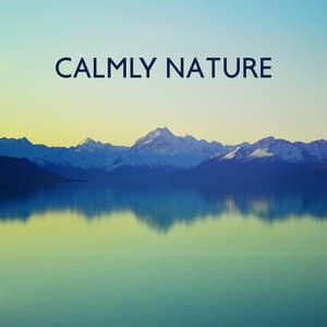 Calmly Nature: Mystic Sounds of Nature for Relax and Meditation - Relaxing Nature Sounds Collection