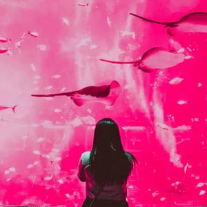 Guitar Trio - Ambiance for Literary Daydreams - Música Alegre para Bares