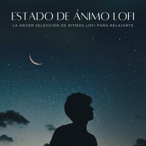 Estado De Ánimo Lofi: La Mejor Selección De Ritmos Lofi Para Relajarte - Lofi Dormir relajarse y estudiar