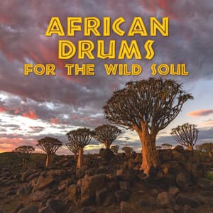 African Drums for the Wild Soul: Human Nature, Deep Harmony, Soft Music for Pure Energy, Inner Bliss - Chakra Balancing 101