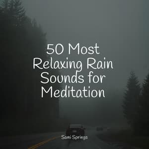50 Most Relaxing Rain Sounds for Meditation - Nature Chillout
