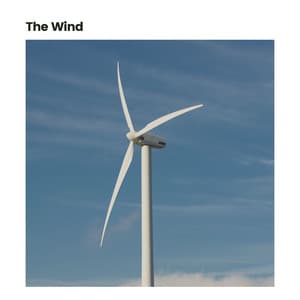 The Wind - Fan Sounds For Sleep