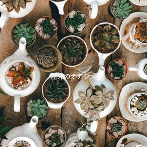 屋外のオアシス - Coffee + Chill