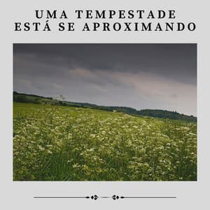 Uma Tempestade Está Se Aproximando - Trovoadas