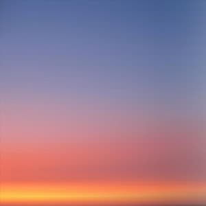 Petals in Slow Motion - Heavenly Realms