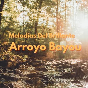 Melodías Del Brillante Arroyo Bayou - Sonido de la naturaleza