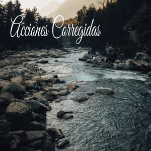 Acciones Corregidas - Música Instrumental Maestro