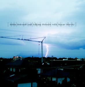 The Point Of It All - Robin Holcomb