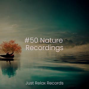 #50 Nature Recordings - Baby Lullaby