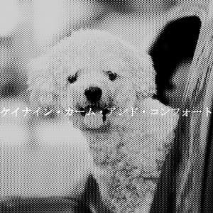 ケイナイン・カーム・アンド・コンフォート - Hotel Lounge Deluxe