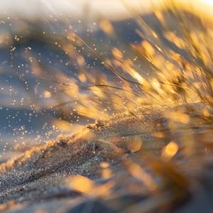 Harmonious Brown Noise - Fan Noise for Sleep