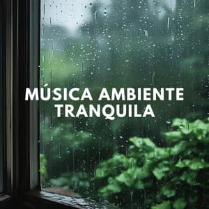 Música Ambiente Tranquila - Som De Chuva e Trovoadas