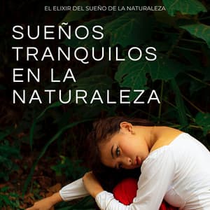 Sueños Tranquilos En La Naturaleza: El Elixir Del Sueño De La Naturaleza - Bosque Tropical