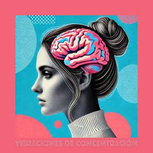 Vibraciones de Concentración: Calma y Claridad para Cada Sesión de Estudio - Serenidad Academy