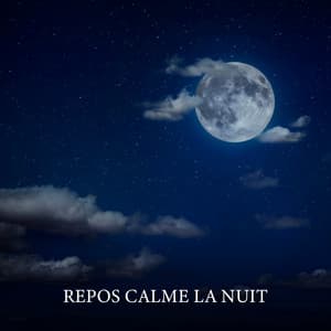 Repos calme la nuit: Apaiser l'insomnie, Dormir profondément - Zone de la Musique Relaxante