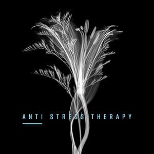Anti Stress Therapy: Music to Calm Down, Destress, Alleviate Nerves, Release Negative Thoughts and Feelings, Calming and Soothing Music - Anti Stress Music Zone