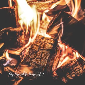Log Fire White Noise Vol. 1 - White Noise Android