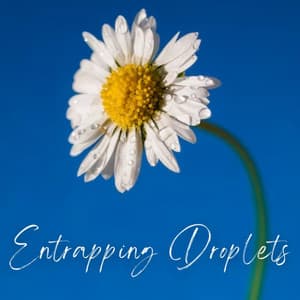 Entrapping Droplets - Sleep Noise Machine