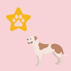 Music for Doggy Discoveries - Puppy Sleeping Sounds