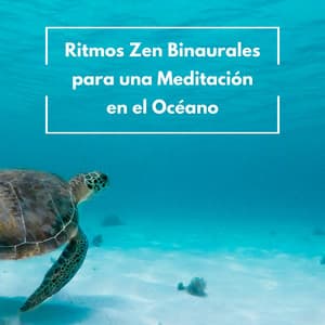 Ritmos Zen Binaurales Para Una Meditación En El Océano - Olas del Mar