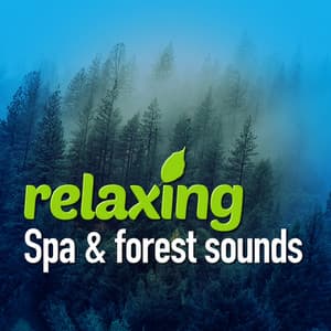 Relaxing Spa & Forest Sounds - Forest Sounds Relaxing Spa Music Singing Birds