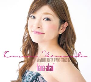 花明り - 池の本和美