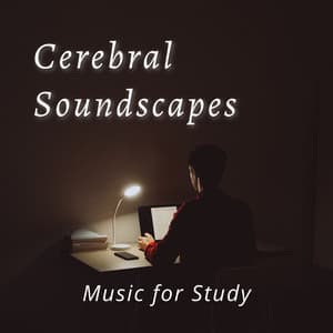 Cerebral Soundscapes: Music for Study - Granular Soundscape