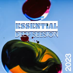 Essential Deep Seesion Mix 2023, Relaxing Chillout Lounge Music, Summer Party Vibes - Drink Bar Chillout Music
