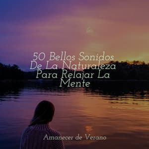 50 Bellos Sonidos De La Naturaleza Para Relajar La Mente - Yoga Sounds