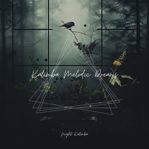 Kalimba Melodic Dreams - Night Kalimba