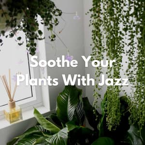Soothe Your Plants With Jazz - Sunday Morning Jazz Playlist