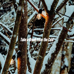 Take a Break From the Cold - Coffee Shop Piano Jazz Playlist