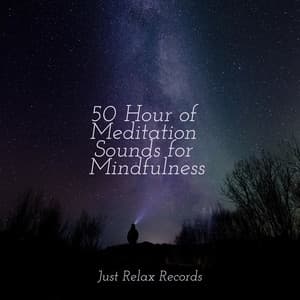 50 Hour of Meditation Sounds for Mindfulness - kinderliedjes