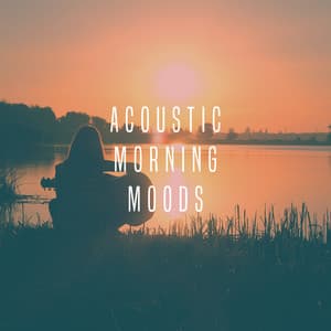Acoustic Morning Moods - Afternoon Acoustic